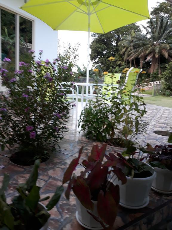 Loversnest Self Catering Anse aux Pins Εξωτερικό φωτογραφία